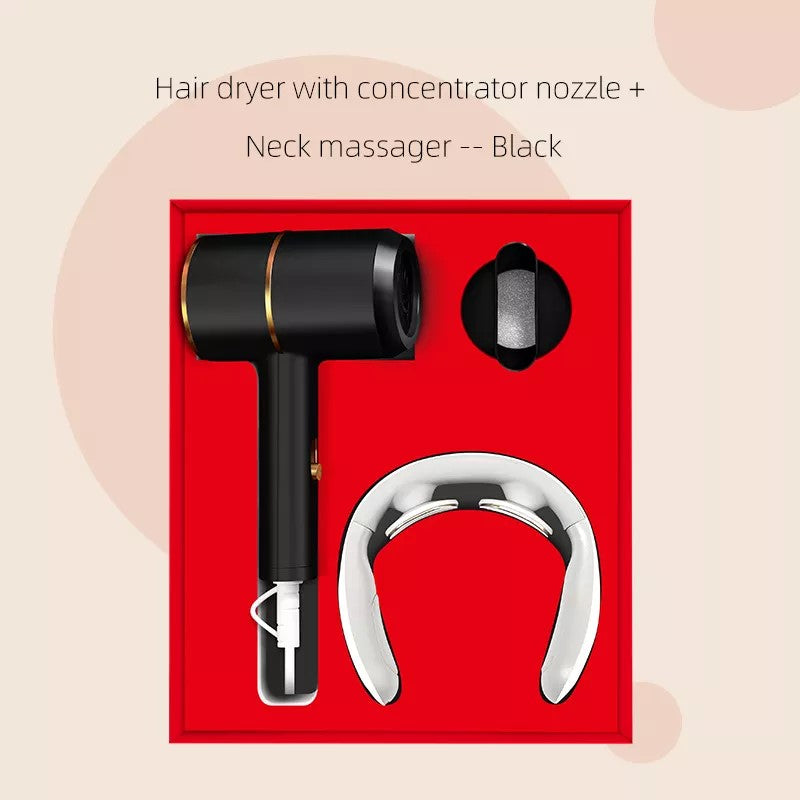 The Web Shed Hair Dryer with Concentrator Nozzle & Neck Massager Gift Set
